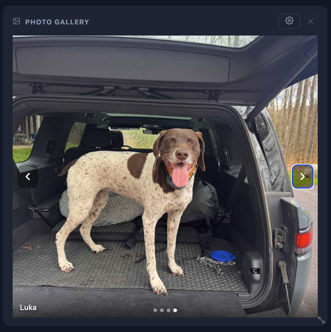 Photo Gallery widget